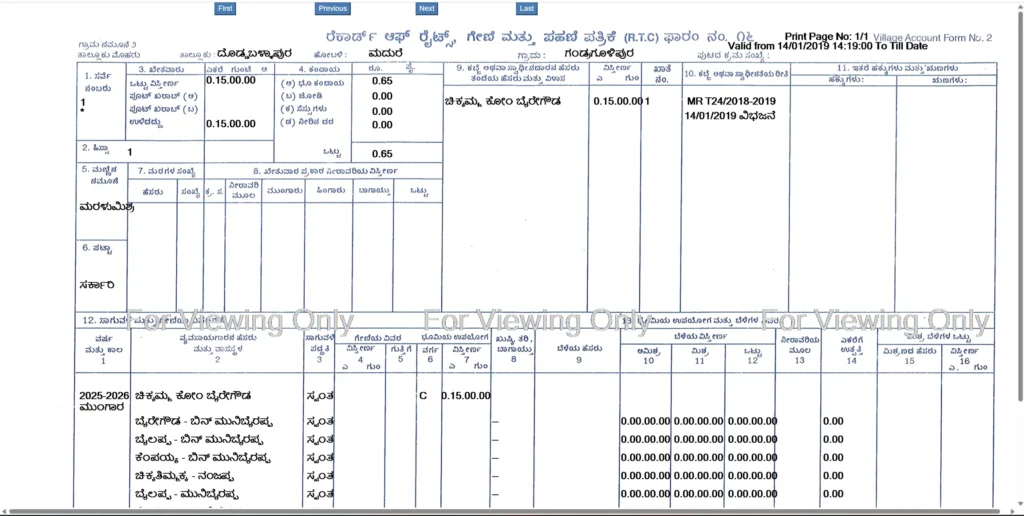 final report